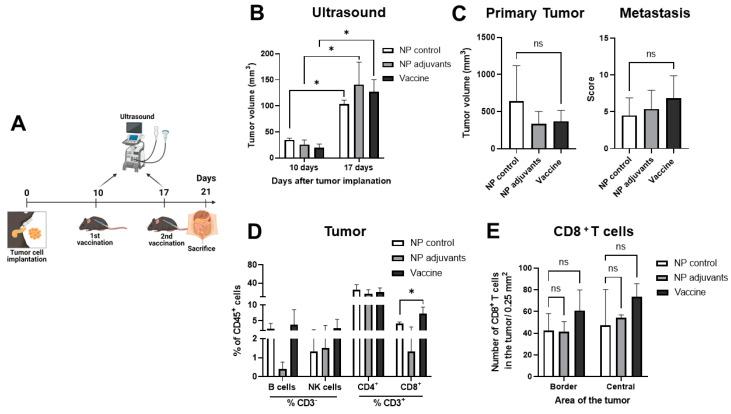 https://cdn.ncbi.nlm.nih.gov/pmc/blobs/89ab/11946167/a61c41c315d2/vaccines-13-00314-g007.jpg