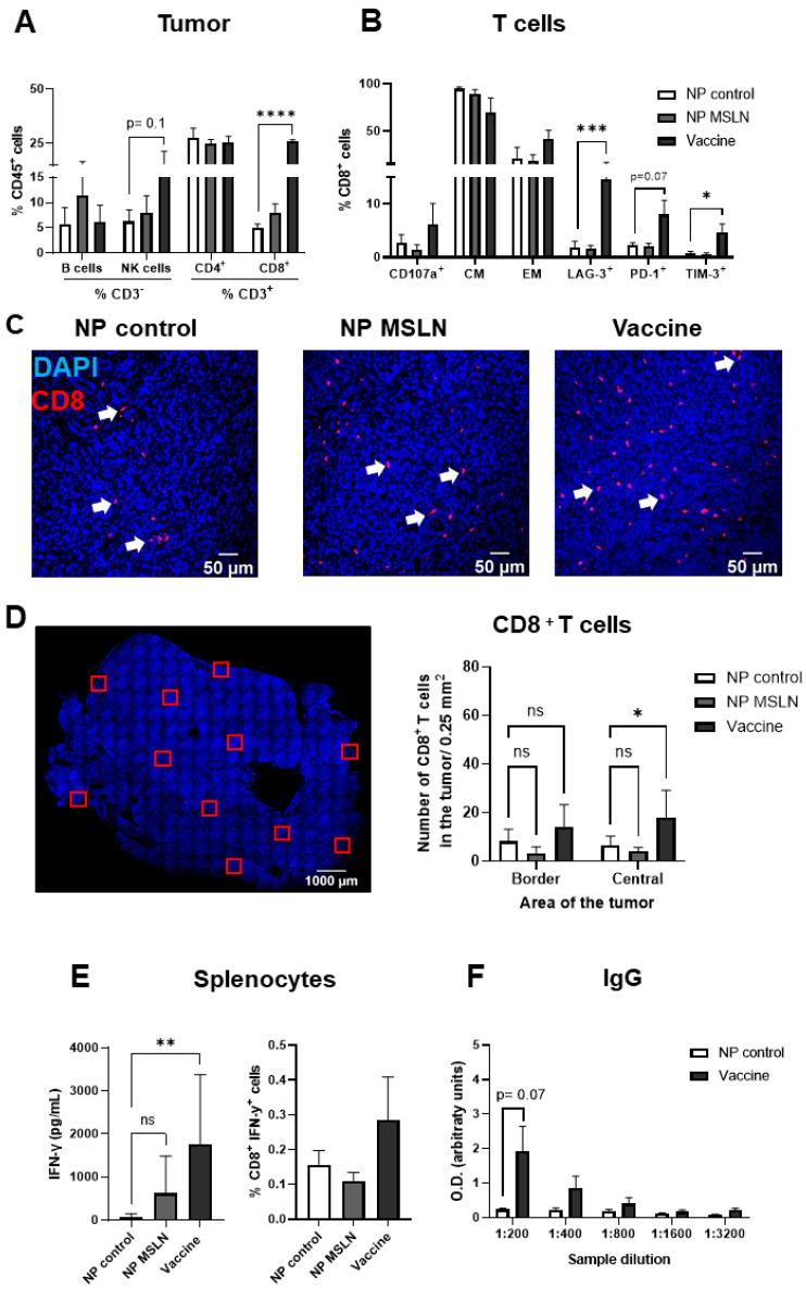 https://cdn.ncbi.nlm.nih.gov/pmc/blobs/89ab/11946167/f6e5e26a1d6e/vaccines-13-00314-g006.jpg