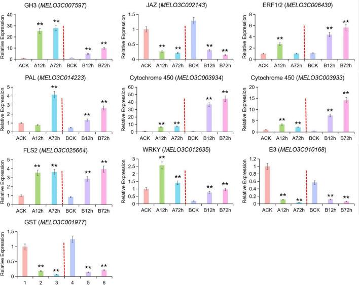 https://cdn.ncbi.nlm.nih.gov/pmc/blobs/89ab/9354789/3c1985d23587/fpls-13-961586-g005.jpg