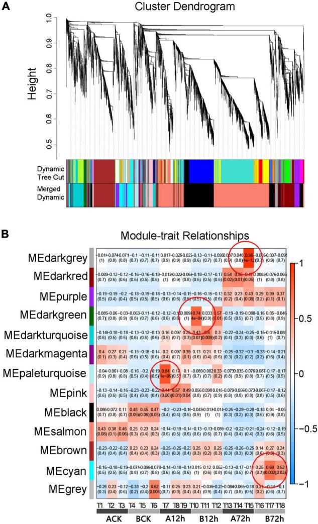 https://cdn.ncbi.nlm.nih.gov/pmc/blobs/89ab/9354789/9a839f9a8558/fpls-13-961586-g004.jpg