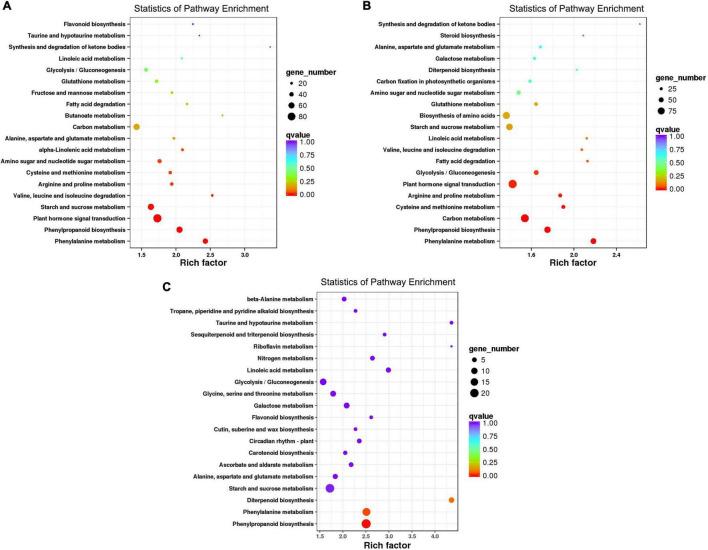 https://cdn.ncbi.nlm.nih.gov/pmc/blobs/89ab/9354789/b2633a7bfbf0/fpls-13-961586-g003.jpg