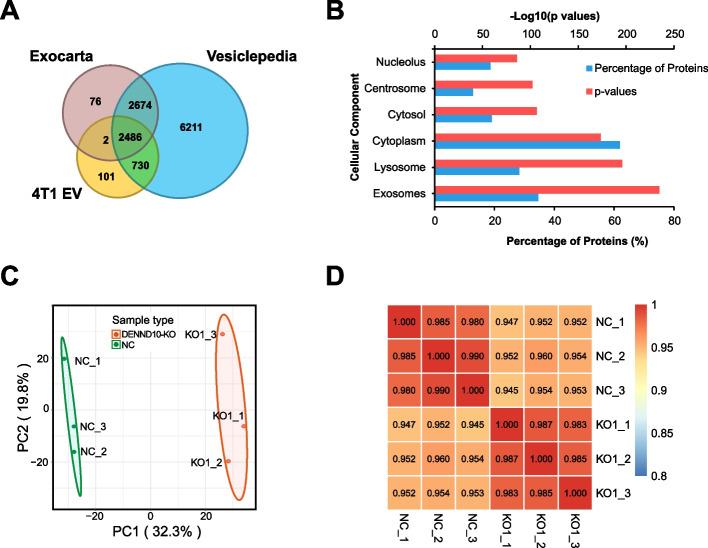 https://cdn.ncbi.nlm.nih.gov/pmc/blobs/89ac/11234546/50f84adc1673/12915_2024_1948_Fig6_HTML.jpg
