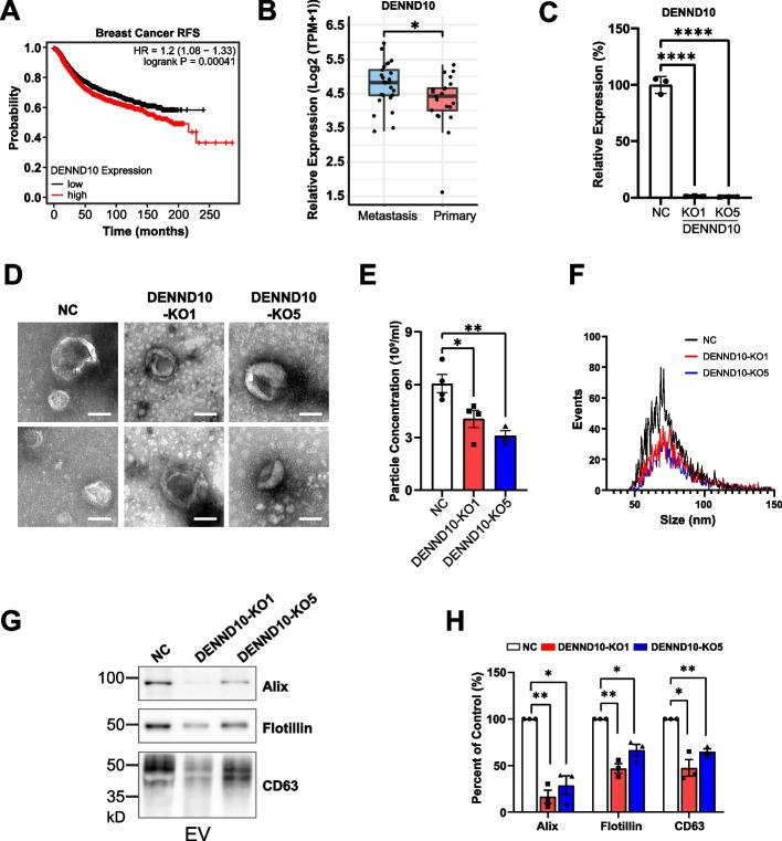 https://cdn.ncbi.nlm.nih.gov/pmc/blobs/89ac/11234546/7489b7e28883/12915_2024_1948_Fig1_HTML.jpg