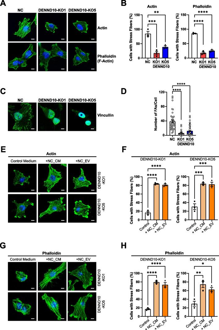 https://cdn.ncbi.nlm.nih.gov/pmc/blobs/89ac/11234546/777891c12ce6/12915_2024_1948_Fig5_HTML.jpg