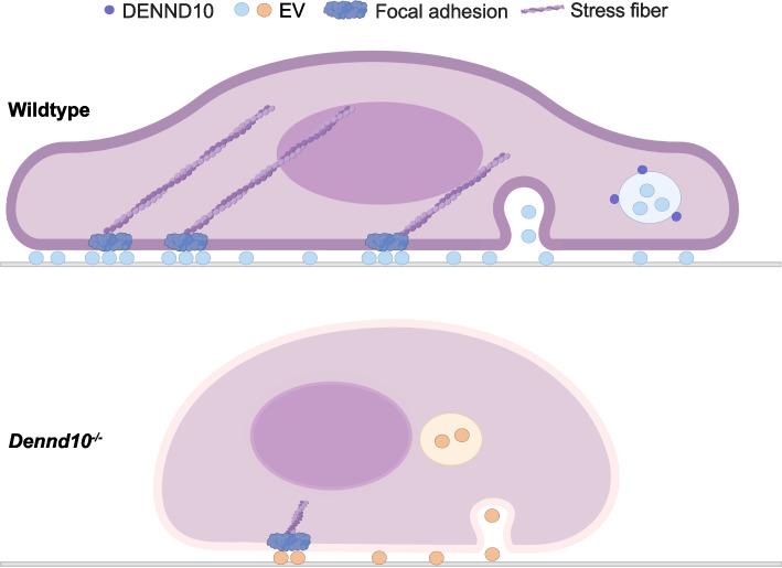 https://cdn.ncbi.nlm.nih.gov/pmc/blobs/89ac/11234546/8b5c2bcc874a/12915_2024_1948_Fig9_HTML.jpg