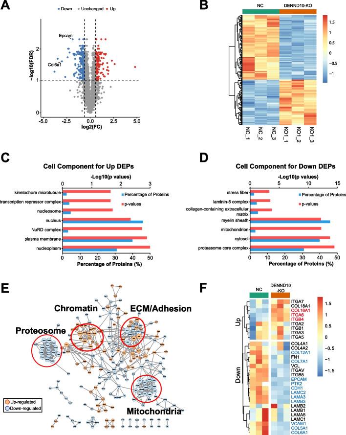 https://cdn.ncbi.nlm.nih.gov/pmc/blobs/89ac/11234546/b216489aab38/12915_2024_1948_Fig7_HTML.jpg