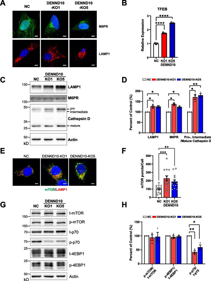 https://cdn.ncbi.nlm.nih.gov/pmc/blobs/89ac/11234546/b6c2754f2b05/12915_2024_1948_Fig2_HTML.jpg