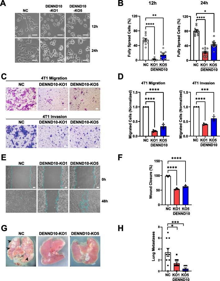 https://cdn.ncbi.nlm.nih.gov/pmc/blobs/89ac/11234546/e98d536a6fd9/12915_2024_1948_Fig3_HTML.jpg