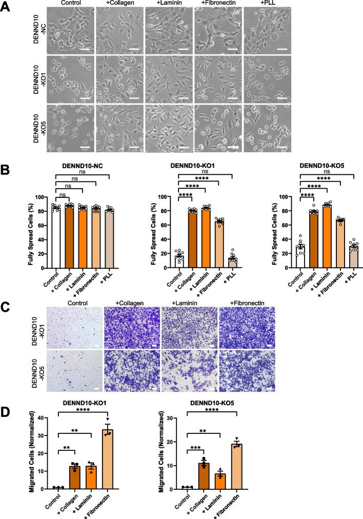 https://cdn.ncbi.nlm.nih.gov/pmc/blobs/89ac/11234546/fd37a9cdcf4d/12915_2024_1948_Fig8_HTML.jpg