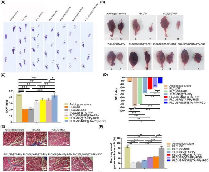 https://cdn.ncbi.nlm.nih.gov/pmc/blobs/89ac/11298313/8b8175764427/JCMM-28-e18544-g002.jpg