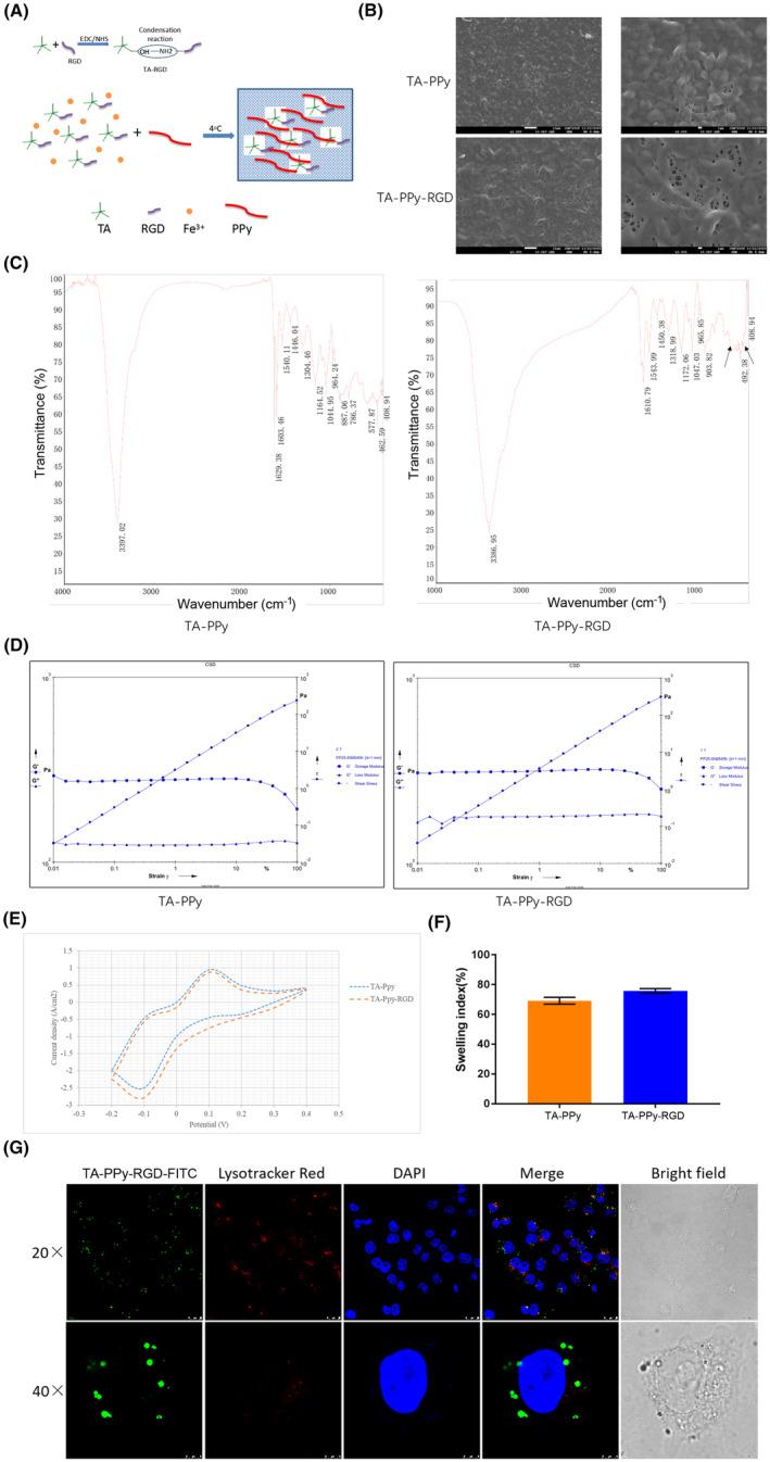 https://cdn.ncbi.nlm.nih.gov/pmc/blobs/89ac/11298313/b4ae9459e929/JCMM-28-e18544-g006.jpg