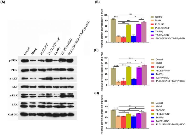 https://cdn.ncbi.nlm.nih.gov/pmc/blobs/89ac/11298313/b55c5ebd2bc8/JCMM-28-e18544-g004.jpg