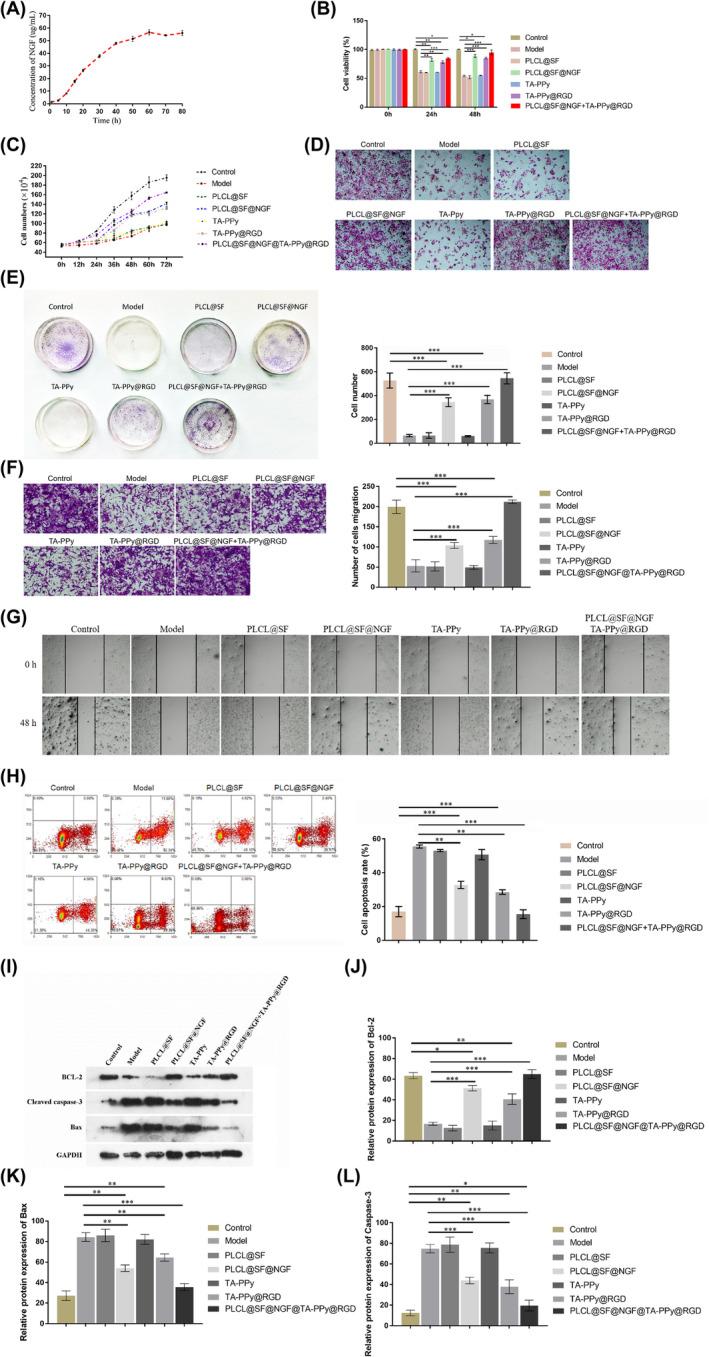https://cdn.ncbi.nlm.nih.gov/pmc/blobs/89ac/11298313/d5bee530cf28/JCMM-28-e18544-g008.jpg