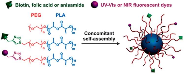 https://cdn.ncbi.nlm.nih.gov/pmc/blobs/89ac/5037719/0ed6951ebc5e/ijms-17-01440-g010.jpg