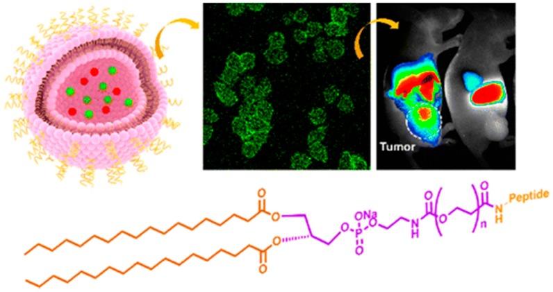 https://cdn.ncbi.nlm.nih.gov/pmc/blobs/89ac/5037719/2bff8010f432/ijms-17-01440-g007.jpg