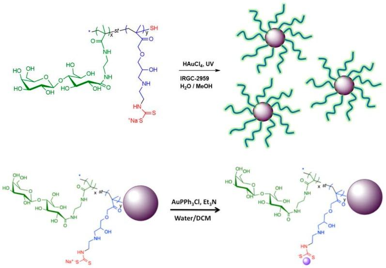 https://cdn.ncbi.nlm.nih.gov/pmc/blobs/89ac/5037719/9aa21df3fc75/ijms-17-01440-g004.jpg