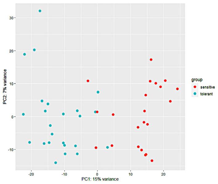 https://cdn.ncbi.nlm.nih.gov/pmc/blobs/89ad/8535276/a33faf720841/genes-12-01638-g002.jpg