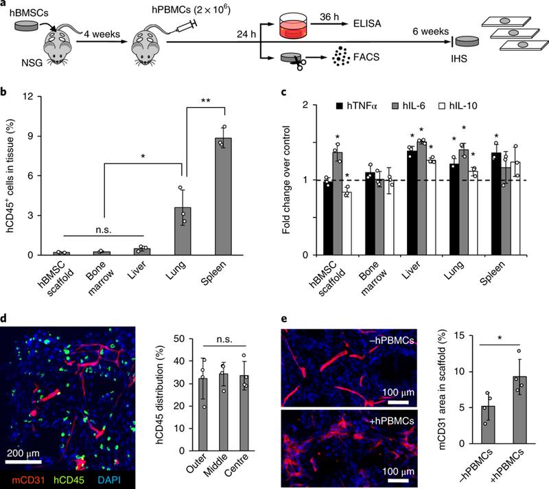 https://cdn.ncbi.nlm.nih.gov/pmc/blobs/89af/6424369/f6068e2e9717/nihms-1506074-f0003.jpg