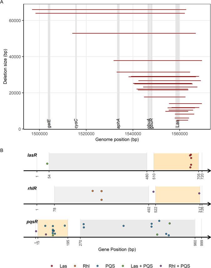 https://cdn.ncbi.nlm.nih.gov/pmc/blobs/89af/9600717/286d92723059/msystems.00354-22-f001.jpg