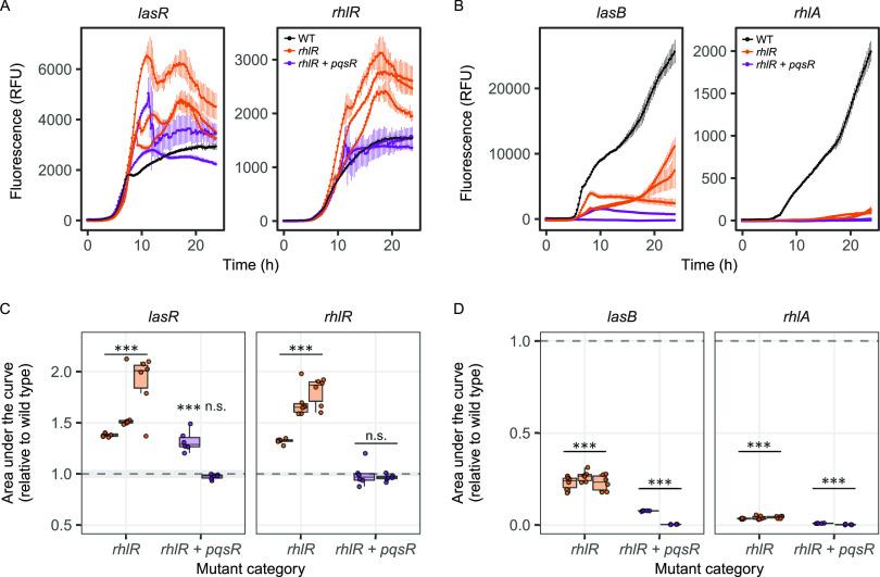 https://cdn.ncbi.nlm.nih.gov/pmc/blobs/89af/9600717/ac0705b7033a/msystems.00354-22-f003.jpg