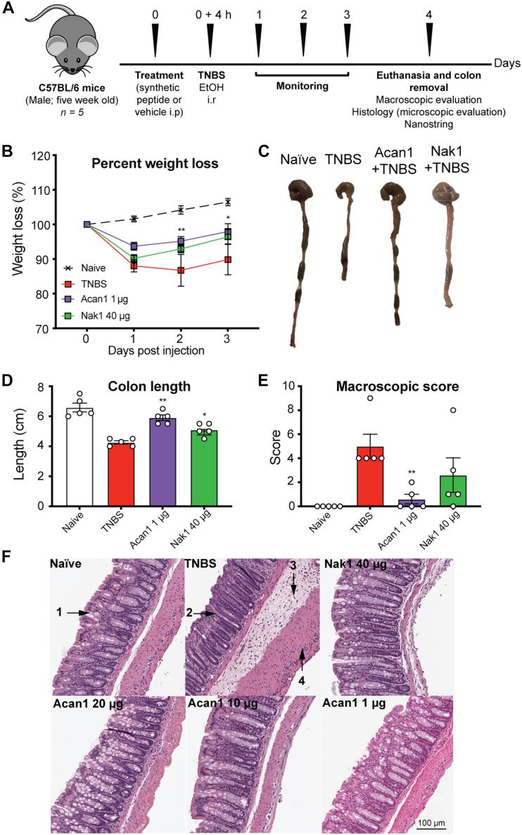 https://cdn.ncbi.nlm.nih.gov/pmc/blobs/89b0/8239465/1ce0da82931f/gr6.jpg