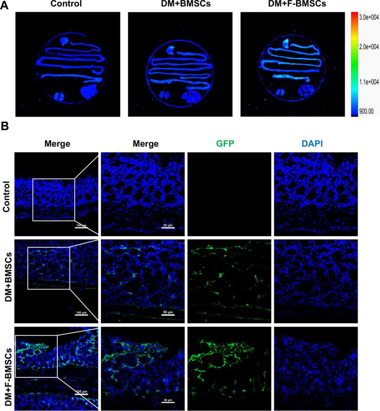 https://cdn.ncbi.nlm.nih.gov/pmc/blobs/89b1/8243650/63a1369c1164/13578_2021_632_Fig2_HTML.jpg