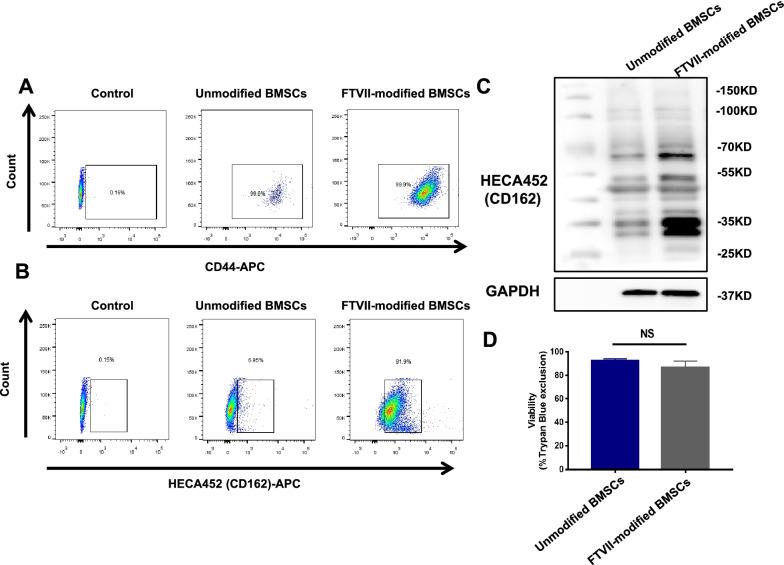 https://cdn.ncbi.nlm.nih.gov/pmc/blobs/89b1/8243650/bff95f49bb71/13578_2021_632_Fig1_HTML.jpg