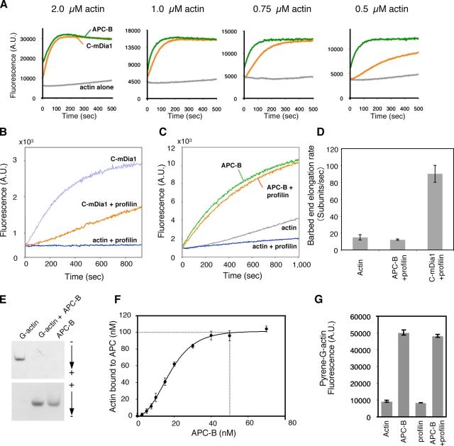 https://cdn.ncbi.nlm.nih.gov/pmc/blobs/89b2/2894447/56b393b0a65e/JCB_201001016_RGB_Fig2.jpg