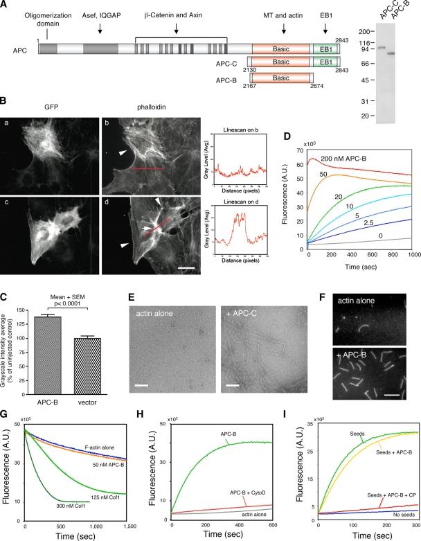 https://cdn.ncbi.nlm.nih.gov/pmc/blobs/89b2/2894447/761ec92c493b/JCB_201001016_RGB_Fig1.jpg