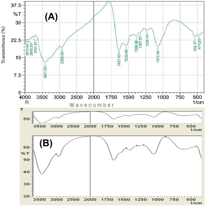 https://cdn.ncbi.nlm.nih.gov/pmc/blobs/89b2/8907182/ea0f02aae290/41598_2022_6600_Fig4_HTML.jpg