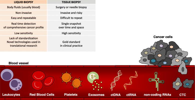 https://cdn.ncbi.nlm.nih.gov/pmc/blobs/89b3/7254767/c44305df3432/13046_2020_1601_Fig1_HTML.jpg