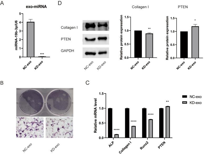 https://cdn.ncbi.nlm.nih.gov/pmc/blobs/89b3/8314589/fb6c5b4c4397/13287_2021_2449_Fig7_HTML.jpg