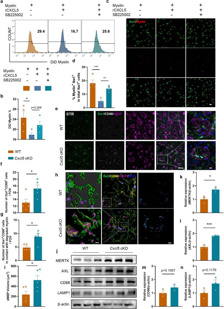 https://cdn.ncbi.nlm.nih.gov/pmc/blobs/89b4/10155379/3a3f955e8094/12974_2023_2780_Fig6_HTML.jpg