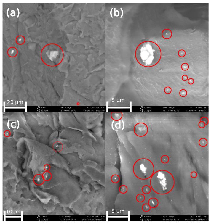 https://cdn.ncbi.nlm.nih.gov/pmc/blobs/89b6/11013309/0810eebf0395/nanomaterials-14-00606-g002.jpg