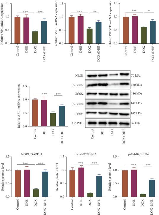 https://cdn.ncbi.nlm.nih.gov/pmc/blobs/89b6/11646148/8fd5215892a5/CDTP2024-5538740.006.jpg