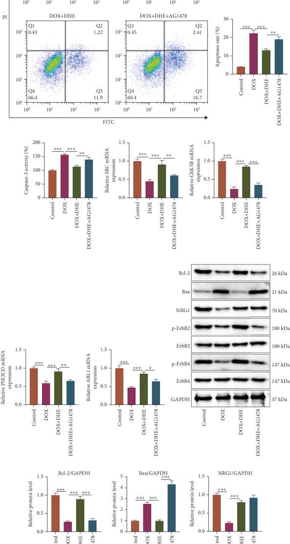 https://cdn.ncbi.nlm.nih.gov/pmc/blobs/89b6/11646148/ca374b653b31/CDTP2024-5538740.007.jpg