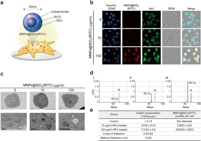 https://cdn.ncbi.nlm.nih.gov/pmc/blobs/89b9/8359100/1b47471b6838/12989_2021_420_Fig1_HTML.jpg
