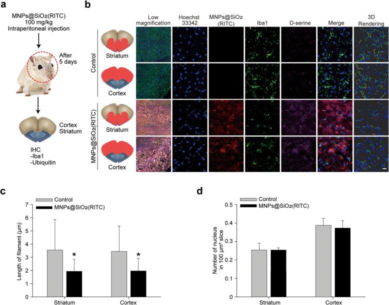 https://cdn.ncbi.nlm.nih.gov/pmc/blobs/89b9/8359100/b90546269a98/12989_2021_420_Fig6_HTML.jpg