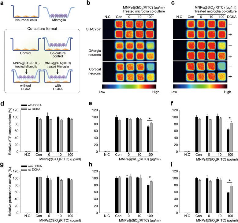 https://cdn.ncbi.nlm.nih.gov/pmc/blobs/89b9/8359100/d51bee17591d/12989_2021_420_Fig4_HTML.jpg