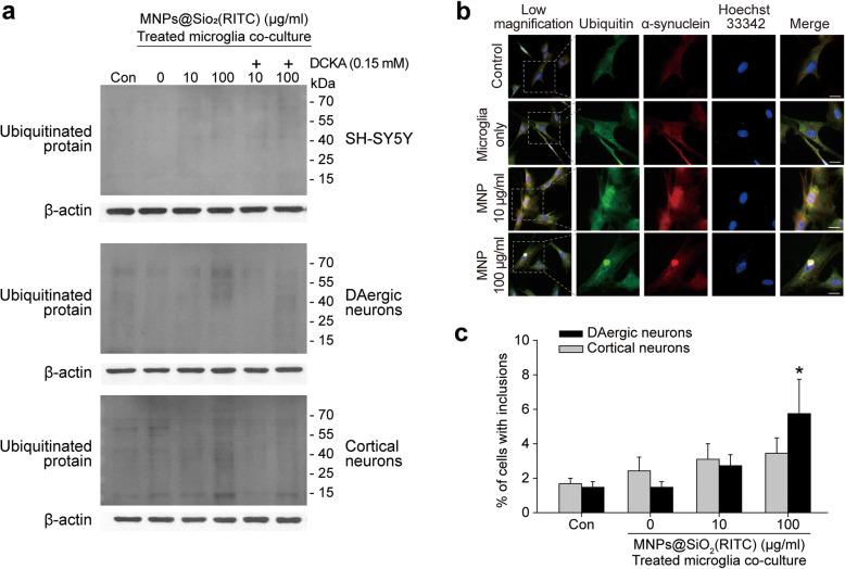 https://cdn.ncbi.nlm.nih.gov/pmc/blobs/89b9/8359100/ecf95e650180/12989_2021_420_Fig5_HTML.jpg