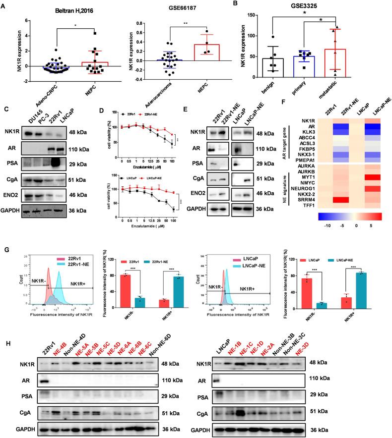 https://cdn.ncbi.nlm.nih.gov/pmc/blobs/89ba/10310825/324924abb97d/41419_2023_5894_Fig2_HTML.jpg