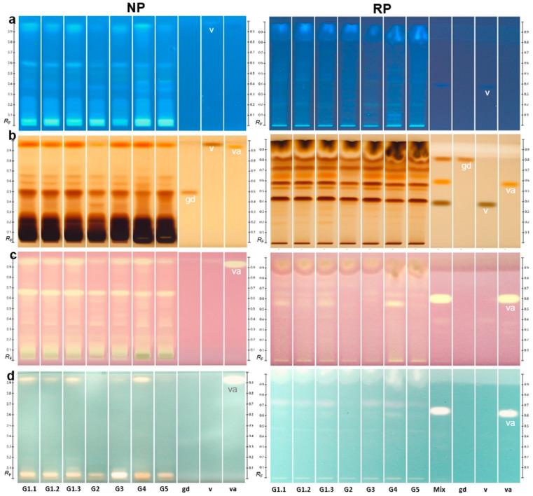 https://cdn.ncbi.nlm.nih.gov/pmc/blobs/89bb/10298505/7995c718b926/ijms-24-09936-g001.jpg