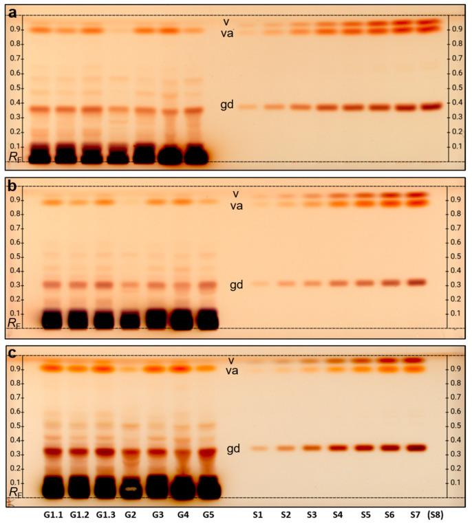 https://cdn.ncbi.nlm.nih.gov/pmc/blobs/89bb/10298505/85f7aa46dbd8/ijms-24-09936-g004.jpg