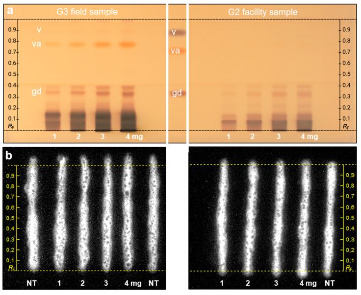 https://cdn.ncbi.nlm.nih.gov/pmc/blobs/89bb/10298505/ddcb1274326a/ijms-24-09936-g003.jpg