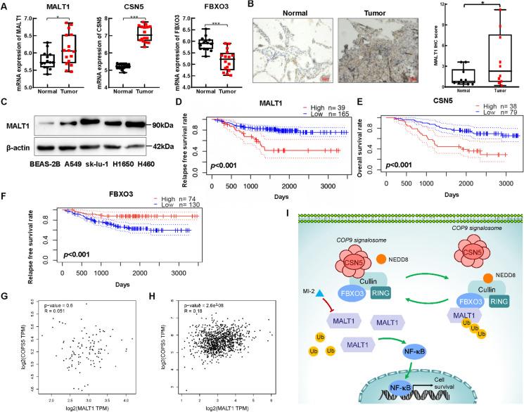 https://cdn.ncbi.nlm.nih.gov/pmc/blobs/89bf/11169058/41b37ebb4bbb/10565_2024_9888_Fig6_HTML.jpg