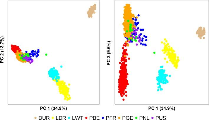 https://cdn.ncbi.nlm.nih.gov/pmc/blobs/89bf/7003864/568e78efae62/AGE-51-32-g001.jpg