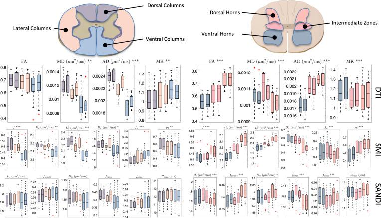 https://cdn.ncbi.nlm.nih.gov/pmc/blobs/89c6/12365691/5fec6724924e/IMAG.a.111_fig10.jpg