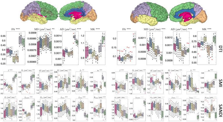 https://cdn.ncbi.nlm.nih.gov/pmc/blobs/89c6/12365691/a0fc7c448741/IMAG.a.111_fig9.jpg