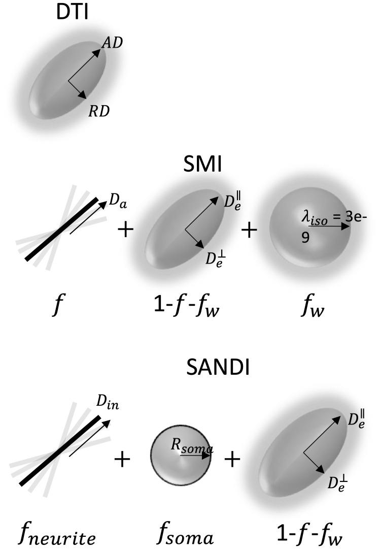 https://cdn.ncbi.nlm.nih.gov/pmc/blobs/89c6/12365691/b799234bfc75/IMAG.a.111_fig2.jpg