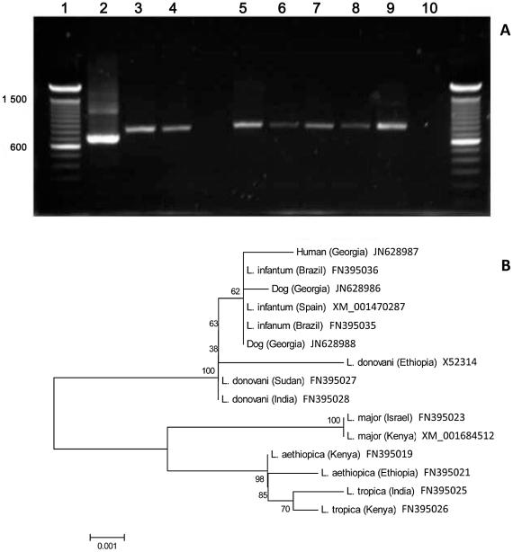 https://cdn.ncbi.nlm.nih.gov/pmc/blobs/89c6/3236723/747fa4116caa/pntd.0001415.g003.jpg